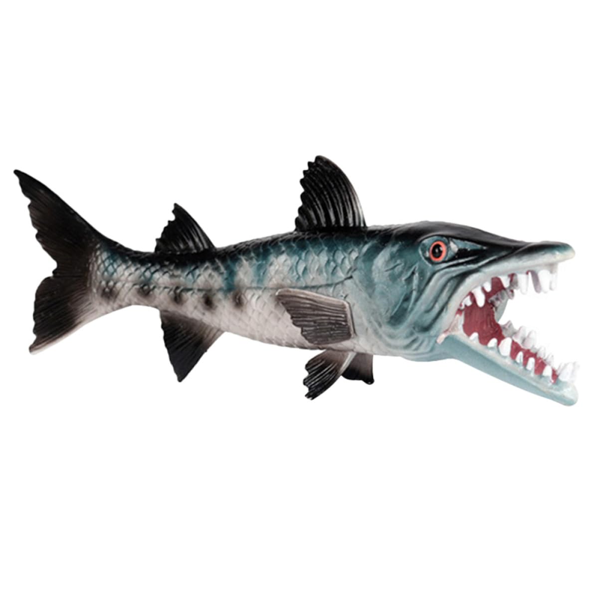 MAGICLULU 26.5cm Simulation Wolf Fish Model, Realistic Solid Plastic Marine Animal Figure for Home Office Decor, Scientific Sea Life Specimen Display, Aquarium Ornament and Fish Tank Landscaping