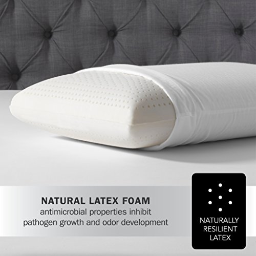 Latex Foam Pillow by Simmons Beautyrest, Queen New eBay