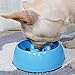 SUPERDESIGN Slow Feeder Dog Bowl Cat Bowl 1/2 Cup Slow Feeding Dog Bowl for Small Medium Breed Anti Gulping Healthy Eating Interactive Bloat Stop Fun Alternative Non Slip Puzzle Dog Food Bowl, Blue