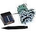 INST Solar Energy Powered LED String Light, Long Lasting,Ambiance Lighting, 54.5ft 17m 100 LED for Outdoor, Tree Decorative Gardens, Homes, Wedding,Christmas Party(White)