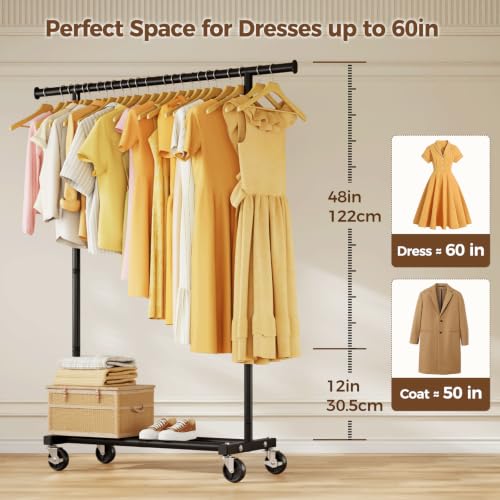 HYSEYY Clothes Rail, Rolling Clothes Rack, Clothing Rail with 4 Lockable Wheels & Storage Shelf, Sturdy Clothing Rack for Bedroom, Laundry Room, Portable Hanging Rail, 162H x 102W x 42D cm, Black