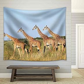 Group of Giraffes in The Masai Mara Reserve (Kenya) - Fabric Wall Tapestry Home Decor - 51x60 inches
