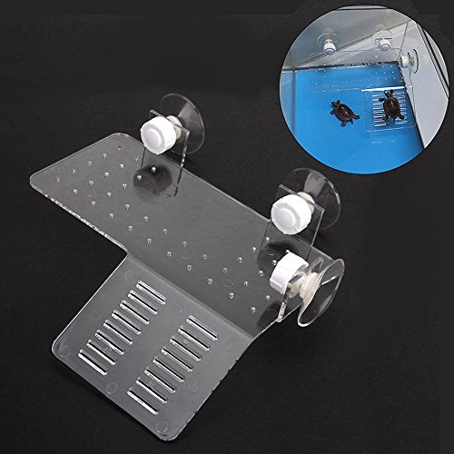 Terrace Pier Resting Platform Reptile Turtles Basking Tank Topper Reptology Dock Above Floating Aquarium Decoration Transparent