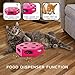 WINGPET Interactive Cat Toys - Automatic Cat Exercise Teaser Toy Puzzle Cat Toy with Worm Tail & Catnip Ball Random Rotating, Pet Kitten Toys for Entertainment Play (Auto Off Timer, Battery Included)