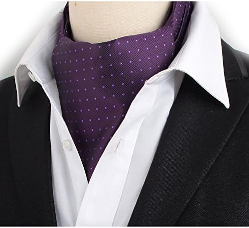 Stylefad Men's Mirofiber Cravat Ascot Self Tie