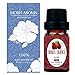 Rose Essential Oil 100% Pure Organic Therapeutic Grade by Morn Aroma -10 ml. Undiluted
