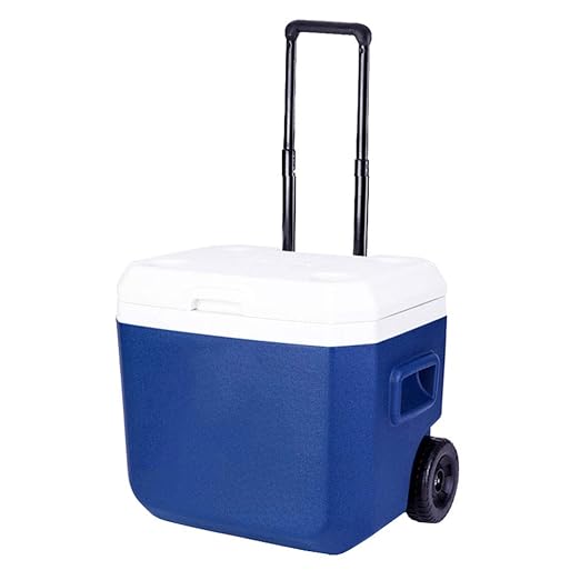 LIYANBWX - Nevera y Calentador con 4 portavasos y Asas retráctiles ...