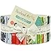 One Canoe Two Hazelwood Jelly Roll 40 2.5-inch Strips Moda Fabrics 36010JR