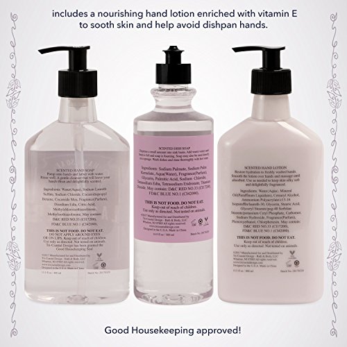 Liquid Soap and Lotion Kitchen Caddy Tri Coastal Design Silver Wire