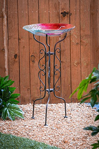 Evergreen Tall Black Metal Scroll Bird Bath Stand - 12.5'L x 12.5"W x 34"H