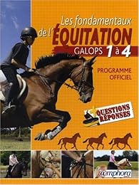 Les  fondamentaux de l'équitation