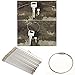 SySrion 20pcs Stainless Steel Wire Keychain Cable Key Ring for Outdoor Hiking