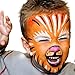 Face Paint Kit for Kids – 16 Washable Vegan Paints, 3 Brushes, Safe Facepainting for Sensitive Skin, Professional Quality Body Facepaints for 160 faces, Birthday Makeup Paint Supplies by Ana and Luke