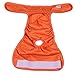 HE&HA PET Dog Diapers Female Washable XS Female Dog Padded Diaper Reusable Dog Sanitary Panties Set of 3