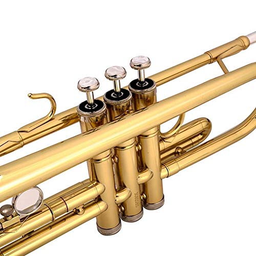 MrBigDeal Beginner Trumpet in Gold Bb Kids Musical Brass Body ,Care Kit ,Case