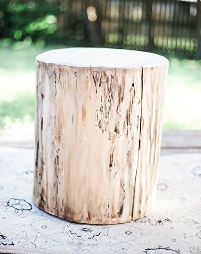15-16" Mid-Century Modern Stump Table