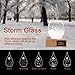 3DHOME Transparent Waterdrop Storm Glass with Pure Wooden Base, Weather Predictor, Creative Choice, Most Unique Decorations on Various Occasion. (X-Large(New))