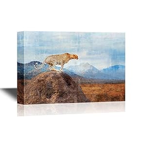 Wild Animal Wild African Cheetah Beautiful Mammal Animal