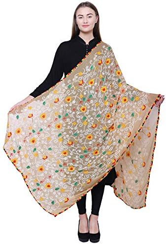 Lionize Chiffon Aariwork Women's Dupatta (Multi Color)