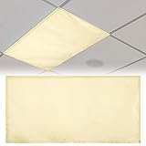 Patelai 4 x 2 Feet Fluorescent Light Cover for