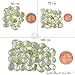 100+ Carats of Real Natural Green Amethyst Mix Gemstones Lot in Mixed Shapes and Sizes. Grade A Quality, Incredible Wholesale Price. Prepared Exclusively by GemMartUSA GA-60001