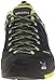 Salewa Men's MS Firetail EVO GTX Approach Shoe