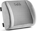 ComfiLife Lumbar Support Back Pillow Office Chair and Car Seat Cushion - Memory Foam with Adjustable Strap and Breathable 3D Mesh