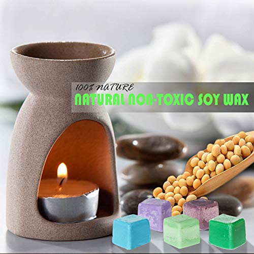 Scented Wax Melts (8 x 2.5 oz) Natural Soy Wax Cube with Essential Oils for Warmer Cubes/Tarts - Apple, Aloe, Green tea, Sandalwood, Rose, Vanilla, Jasmine, Lavender