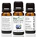 Biofinest Black Cumin (Black Seed) Oil - 100% Pure Organic Cold-Pressed - Best for Skin and Hair Care - Antibacterial & Anti-Inflammation - Free E-Book (10ml)