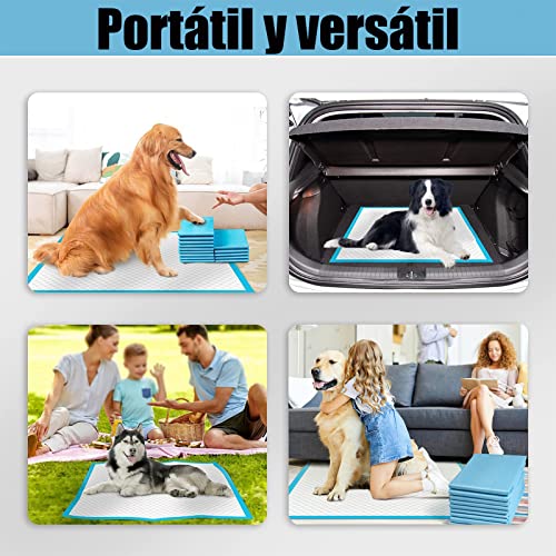 Almohadillas de Entrenamiento Desechables para Mascotas,Almohadillas Desechables para Orinal para Perros ,40 Piezas Súper Absorbentes y a Prueba de Fugas,Grandes 60X60CM,para Perros, Gatos, Conejos