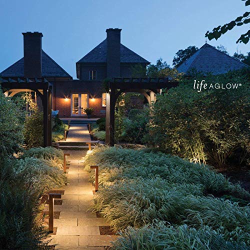 Hinkley Lighting Directional Well Light - Directional In-Ground Light That Highlights Important Landscape Features and Increases Home Security, Matte Bronze Finish, Hardy Island Collection, 16710MZ - Thumbnail 6