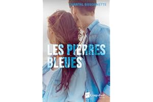 Les pierres bleues (French Edition)