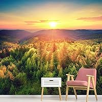 Wall Mural Forest Removable Self-Adhesive Wallpaper Wall Decoration for Bedroom Living Room - 66x96 inches