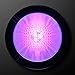 FlashingBlinkyLights Purple LED Light Base Bottle Glorifier