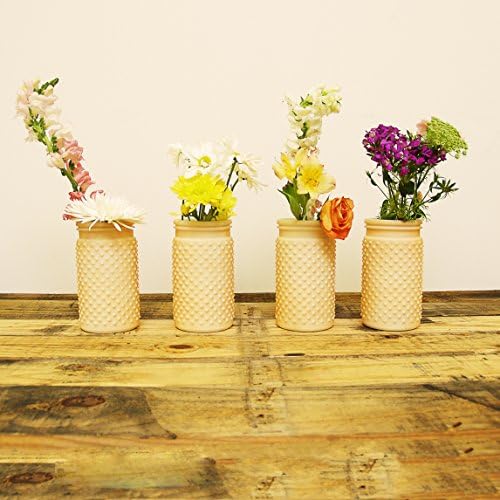 Sunday Morning Home Large Peach Glass Hobnail Jar, Set of 12