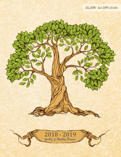 July 2018 - June 2019 Calendar: Two Year - 12 Months Daily Weekly Monthly Calendar Planner For Academic Agenda Schedule Organizer Logbook and ... Planner 2018-2019 8.5 x 11) (Volume 9) by Jessie Beaudry