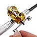 Digi-Flex DIGIFLEX Silver Mini Pocket Fishing Rod Pole & Golden Reel Pen