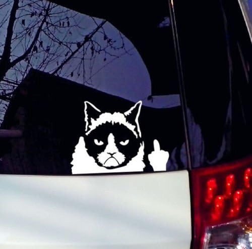 XIAOHE Funny TI Grumpy Cat For JDM Auto MO Car/Bumper/Window Vinyl Decal Sticker Decals
