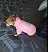 EXPAWLORER Princess Dog Cat Fleece Sweatshirt Hoodies , Pink, Small