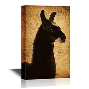 Wild Animal Canvas Wall Art - Black Alpaca on Grunge Background - Gallery Wrap Modern Home Art | Ready to Hang - 12x18 inches