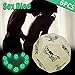 KIPETTO 6Pcs Funny Adult Posture Play Dice Glow in The Dark Funny Toys Game Dice for Couples