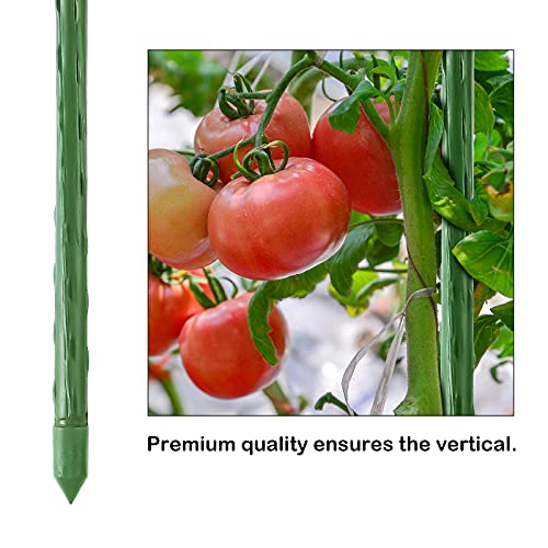 FEED GARDEN Garden Stakes 36 Inch 3ft 25 Pack, Sturdy Plant Metal