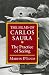 The Films of Carlos Saura: The Practice of Seeing Marvin D'Lugo Author