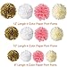Paxcoo 35 Pcs Pink and Gold Party Supplies with Tissue Pom Tassel Garland for 1st Birthday Baby Girl Shower Decorations