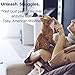 Milk Thistle Liver & Kidney Supplement for Dogs and Cats with DHA, EPA, Silymarin, and Vitamin B (B1 B2 B6 B12) to Prevent Liver and Kidney Disease - 100 Chewable Treats - Chicken Flavor