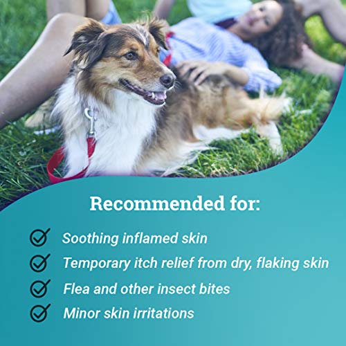Relief Spray, temporary relief of itching and flaking, for dogs, cats