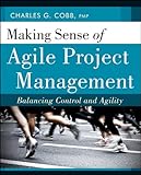 Making Sense of Agile Project Management: Balancing Control and Agility