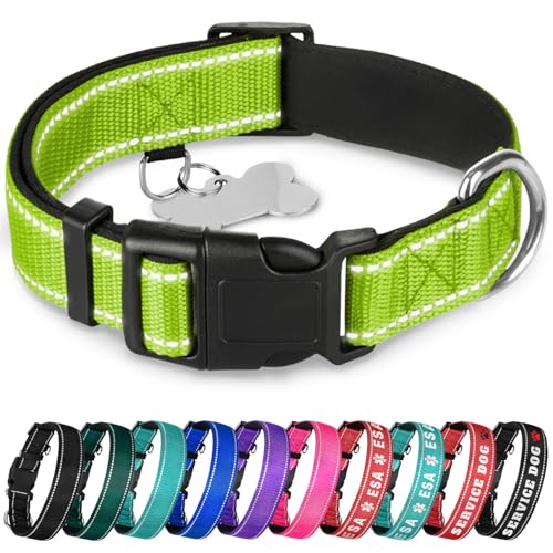 TECEUM Reflective Padded Dog Collar