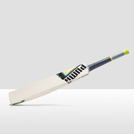 puma evospeed 1 cricket bat
