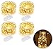 Fairy String Lights, 4 Pack Warm White 7.2FT 20 LEDs Waterproof Starry Fairy Copper String Lights USB Powered for Wedding Party Christmas Decorations